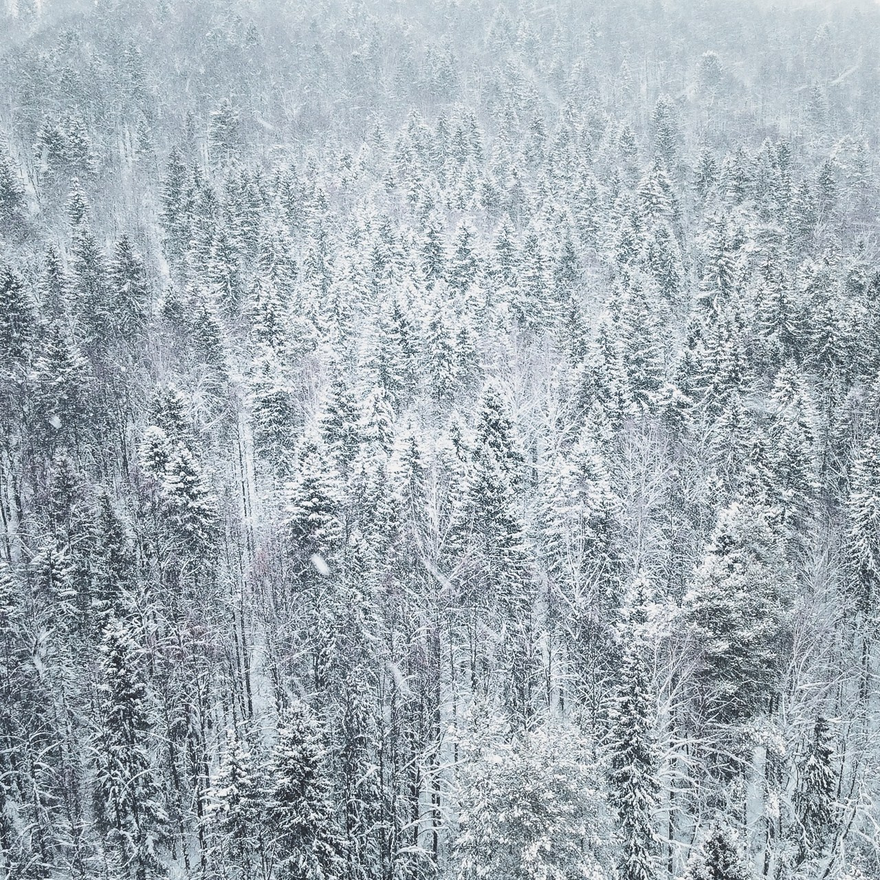 Аэросъемка