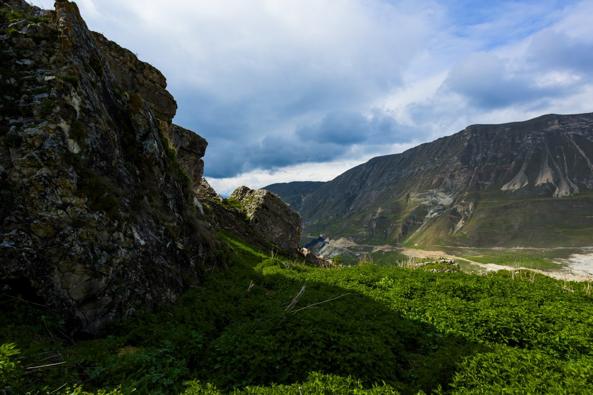 Горы. Photomantis