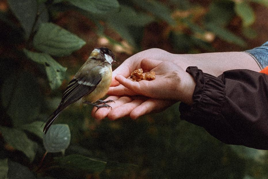 Таня и Глеб. Фотограф в Санкт-Петербурге Батурина Елена