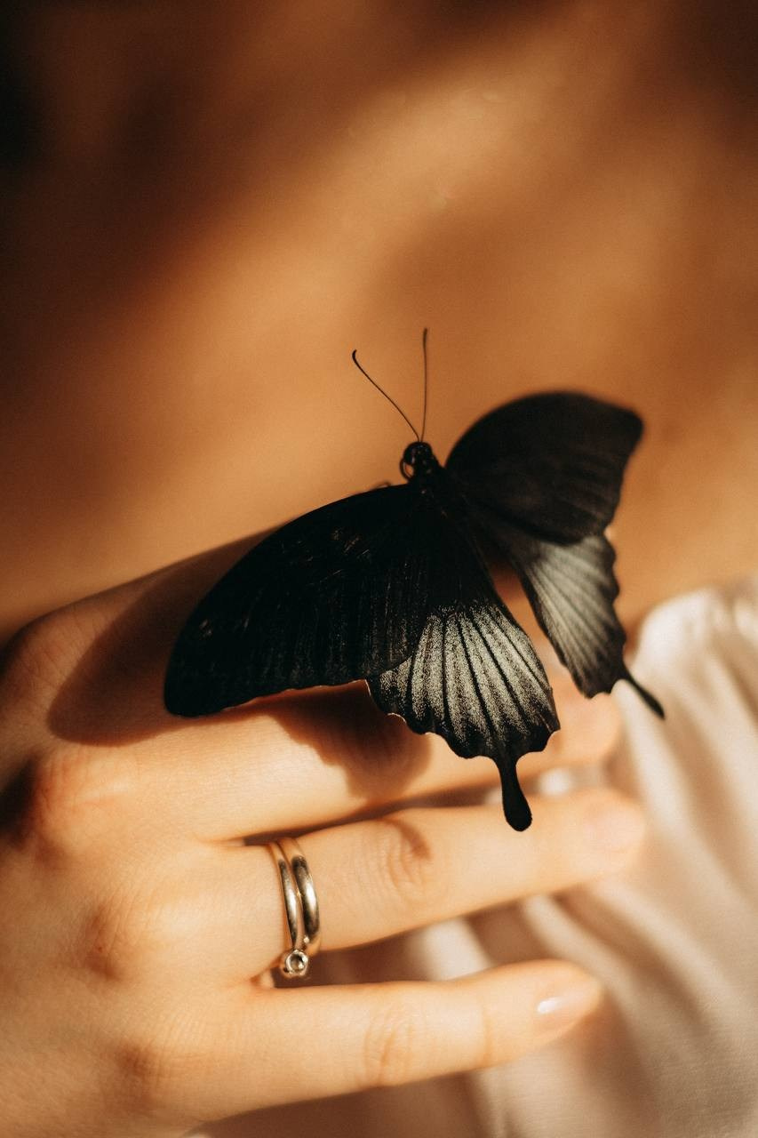 Беременность. Смирнова Алена Фотограф Екатеринбург