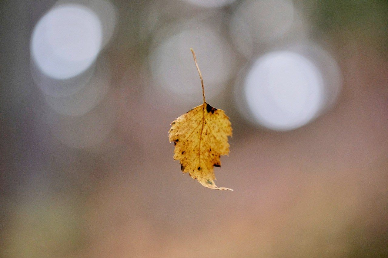 Архангельская область. Фотограф Евгений Андреев