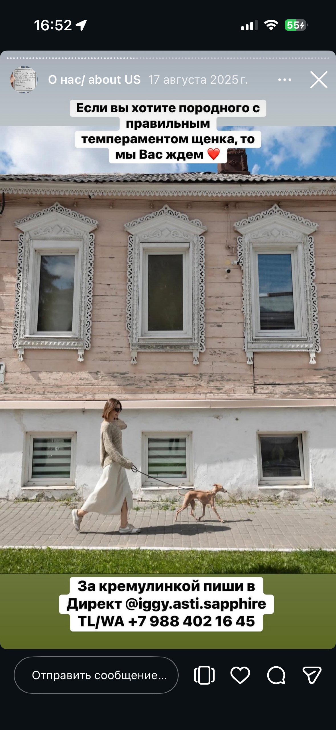 Отзывы от наших любимых владельцев. Профессиональный питомник левреток РКФ/FCI ASTI SAPPHIRE 💎 Сочи|Санкт-Петербург