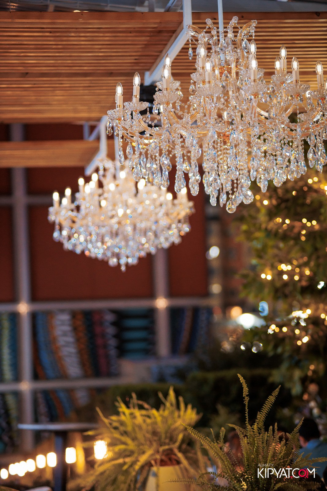 FRIENDS BAR & TERRACE. КИПЯТКОМ АЛМАТЫ!