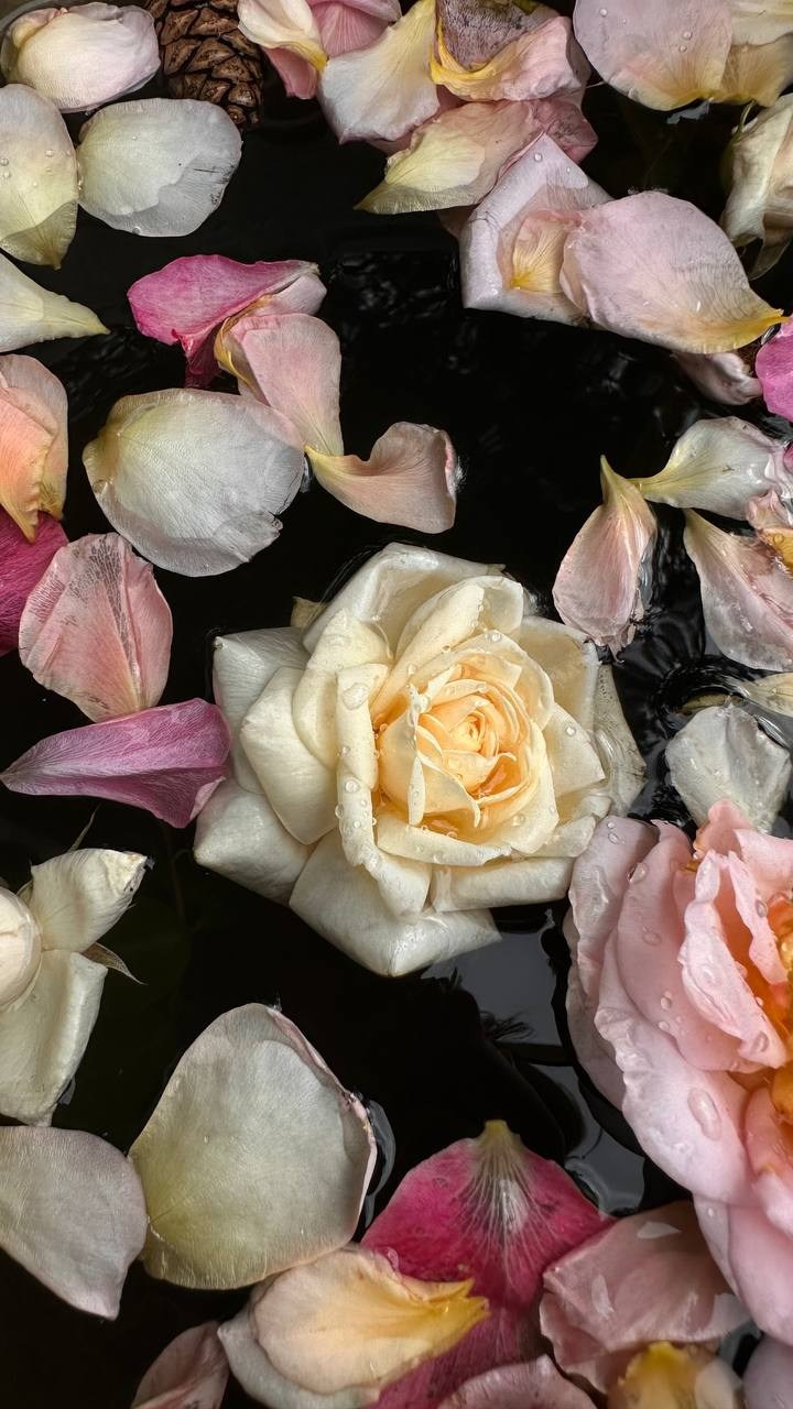 КУРС ПО ФОТО/ВИДЕО СЪЕМКЕ «СЧАСТЬЕ В ПРОСТОМ». Фотография. Визуально-чувственный мир души