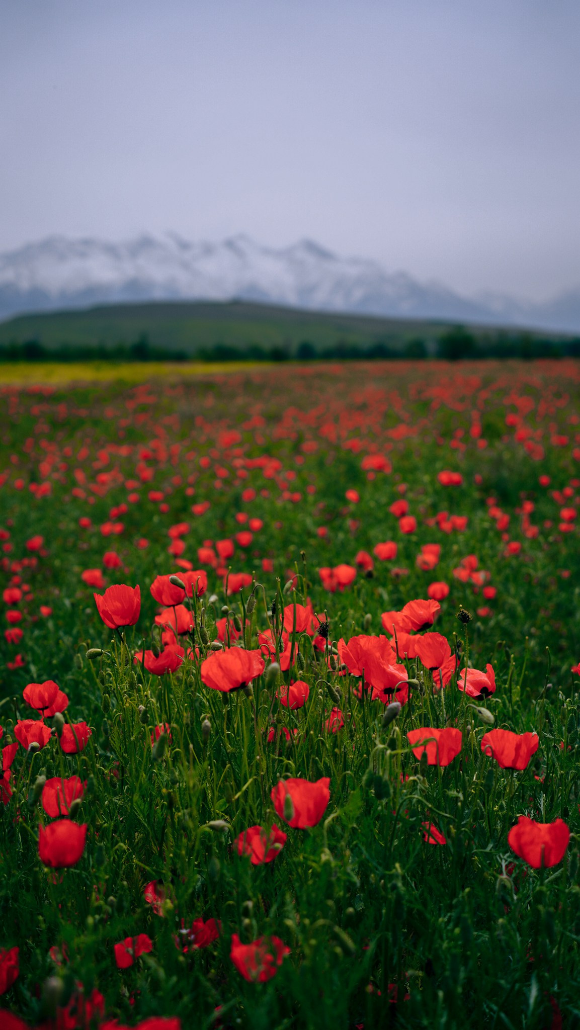 Кыргызстан. Человек с фотокамерой