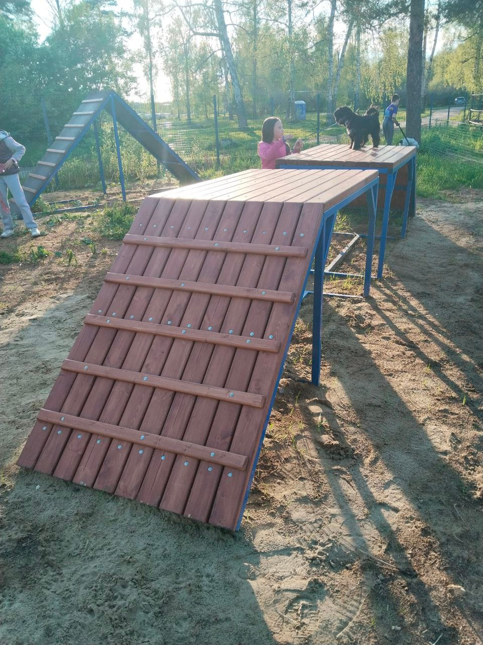 Практические занятия по дрессировке. НРОО КЦ "Собаковод"