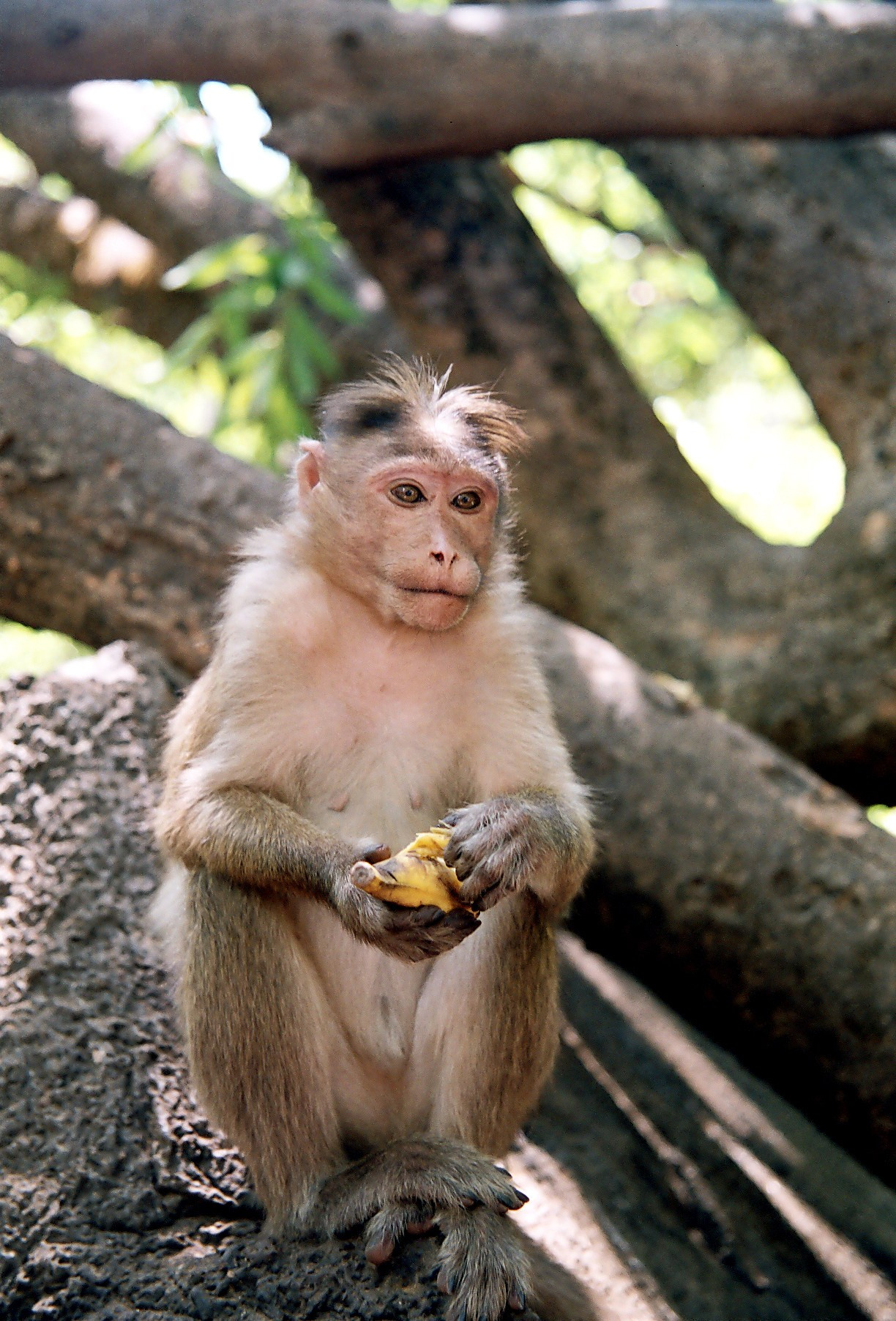 ГОА_2, 2005. Семейный фотограф в Новороссийске Игорь Белослюдцев