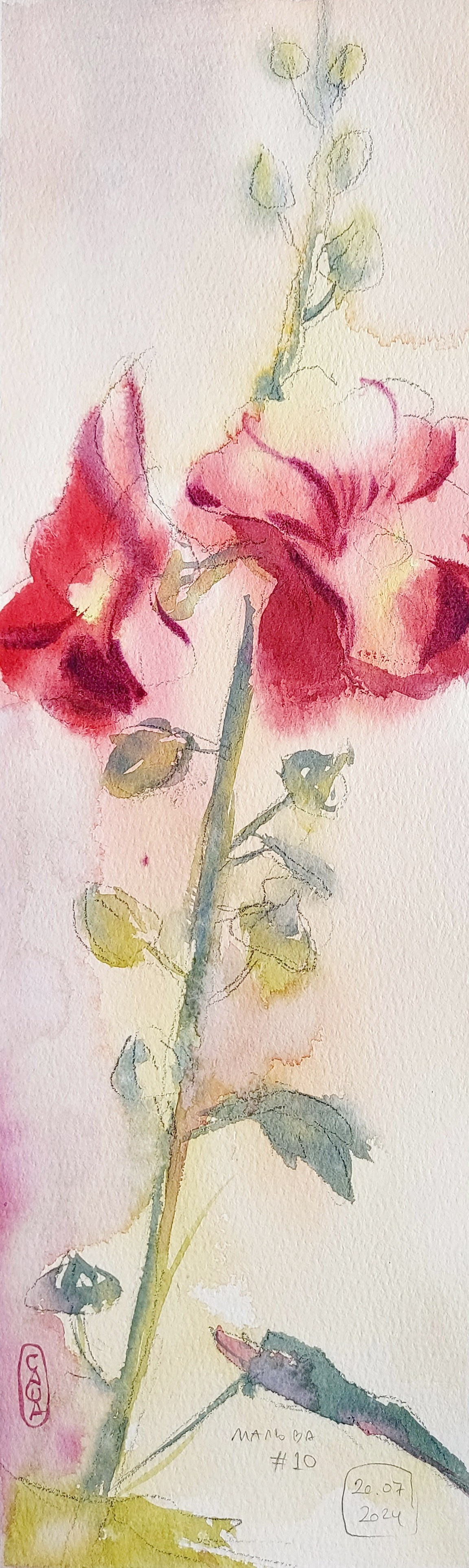 Flowers. Alexander Manaenkov | Watercolor Artist from Siberia