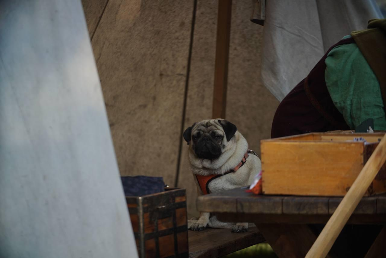 День Москвы. Фотограф Мария