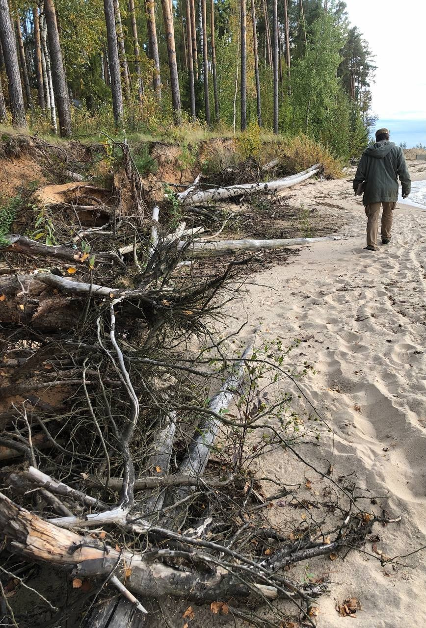 Каталог работ. Современная художница Елена Алексеева (Alpha_Vita)