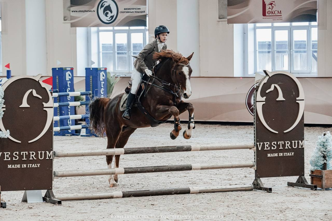 КУБОК МОСКВЫ по КОНКУРУ в КСК «ВИВАТ, РОССИЯ!». Куракина Дарья • Конный фотограф