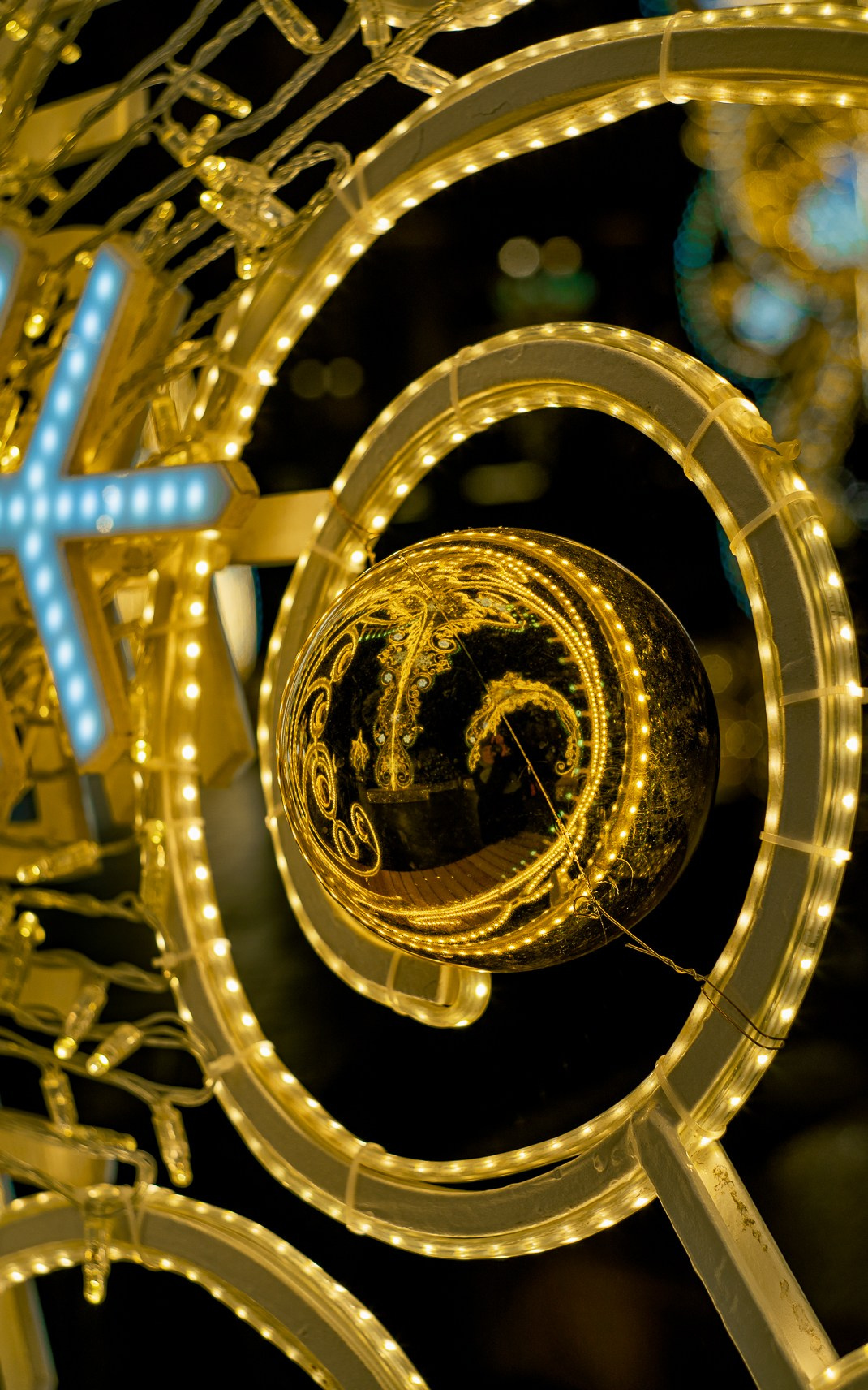 Москва. Ноябрь. 2024. Фотограф в Сочи Елена Лисотина. Фототуры в Сочи