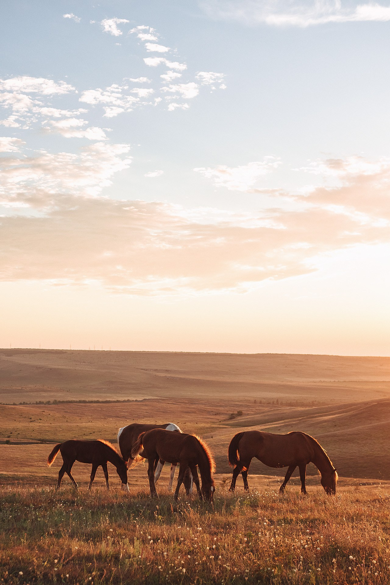 Она сказала «Да!». Свадебный и портретный фотограф в Симферополе и Крыму