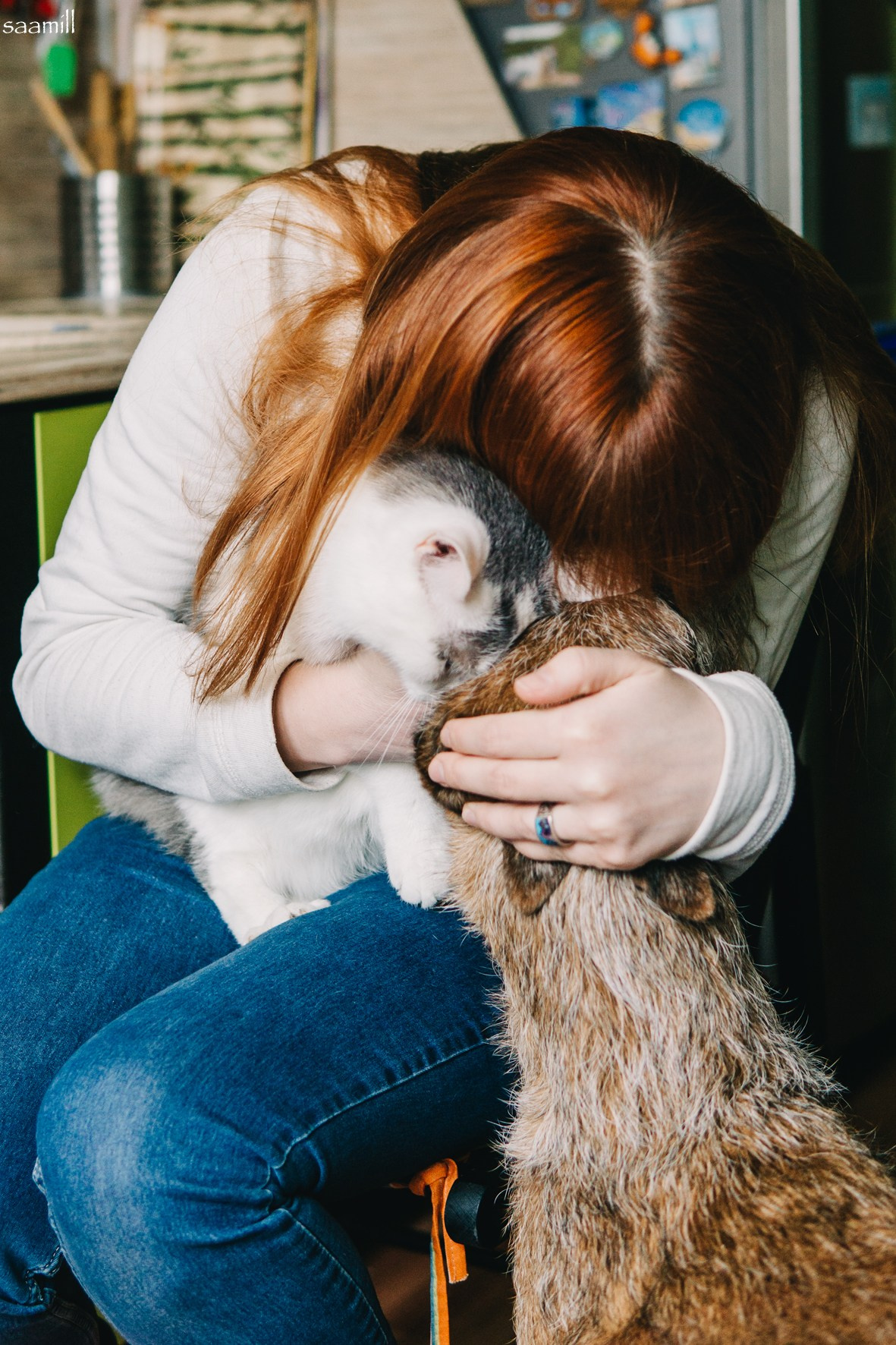 Life with dog. Saamill