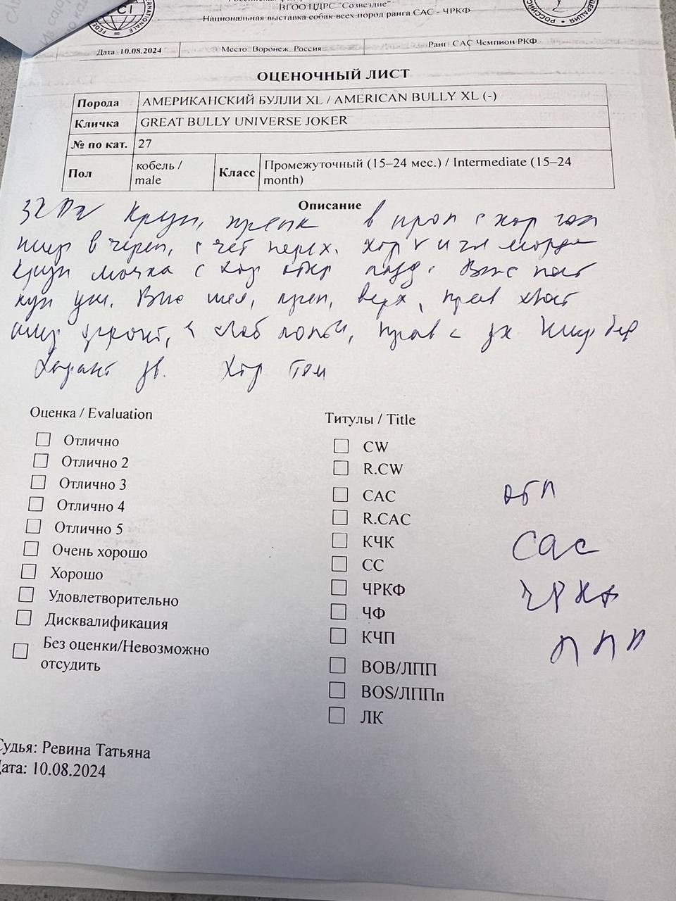 Участие в выставках. Американские булли XL в г. Калининград. Питомник Great Bully UNIVERSE