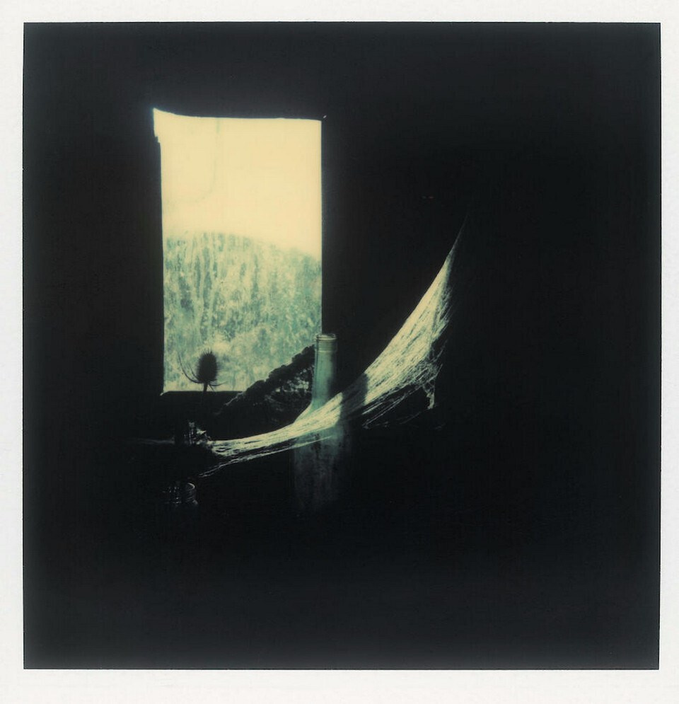 Композиция кадра. Семейный и свадебный фотограф в Майкопе Михаил Мартиросян