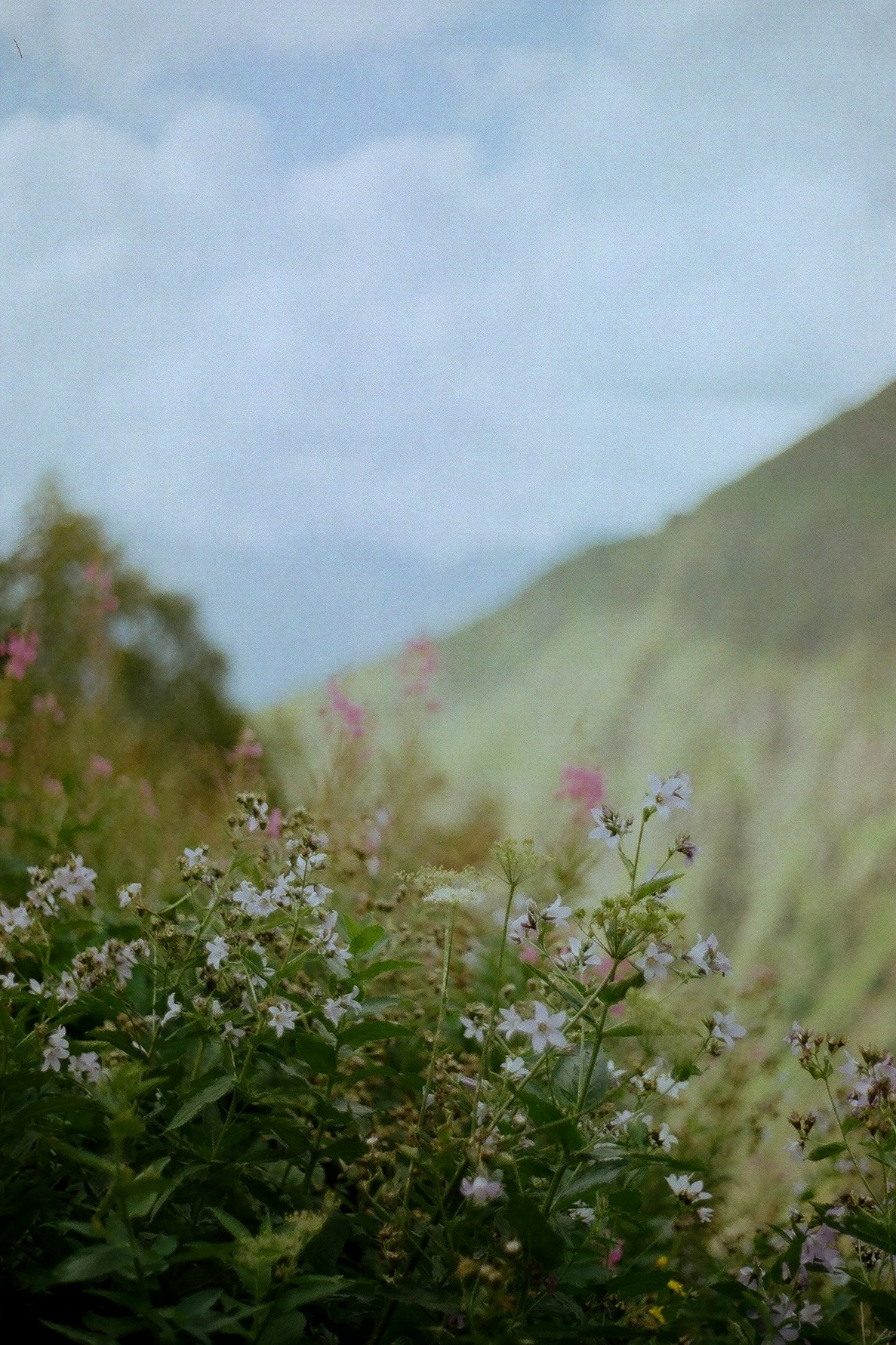 Film photos. Creative travel photographer — Berg Daria