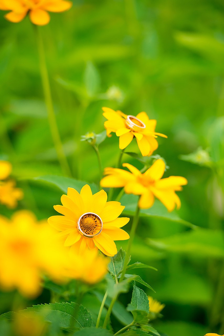 Галерея. Фотограф Микита Ласица