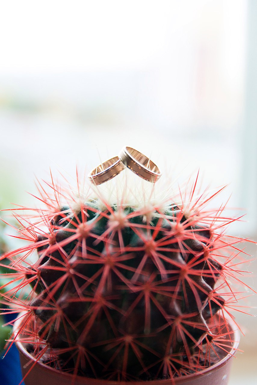 Галерея. Фотограф Микита Ласица