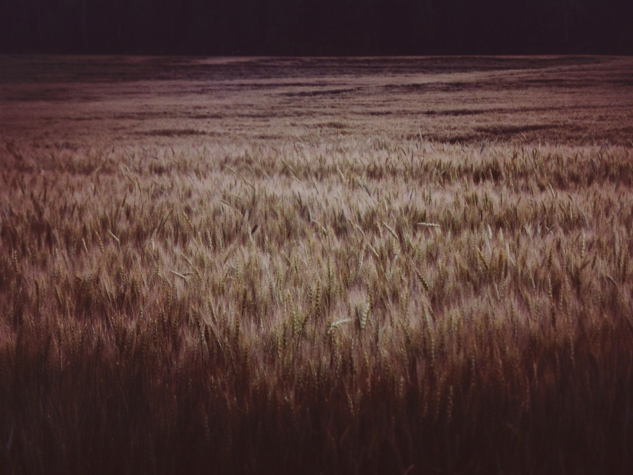 Мои первые работы. Фотограф из Москвы — DASHA NOVA | Авторская фотография в разных жанрах