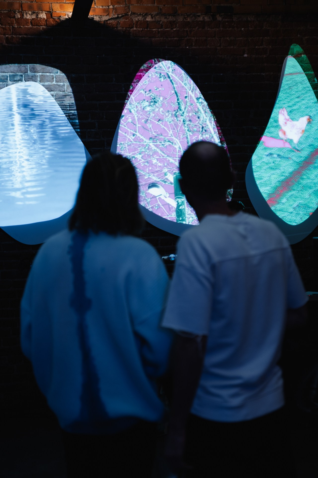 Кирилл Даровских. Выставка ART IS A TECHNOLOGY. Сергей Грицанов Фотограф СПБ