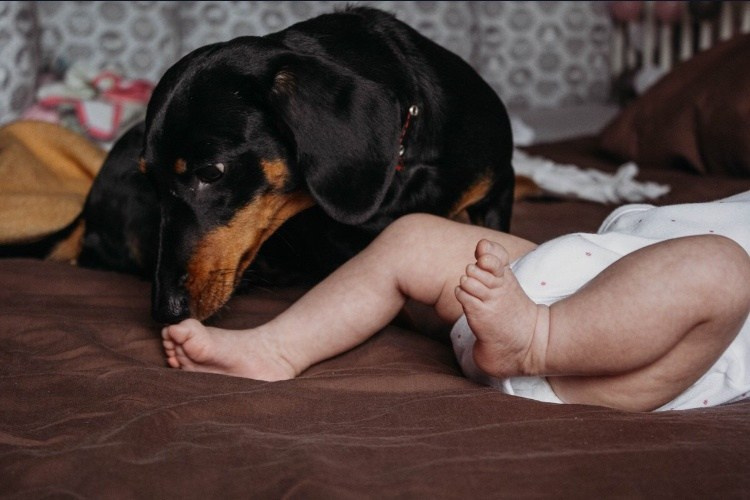 Newborn. Ваш семейный фотограф Беззубова Галя