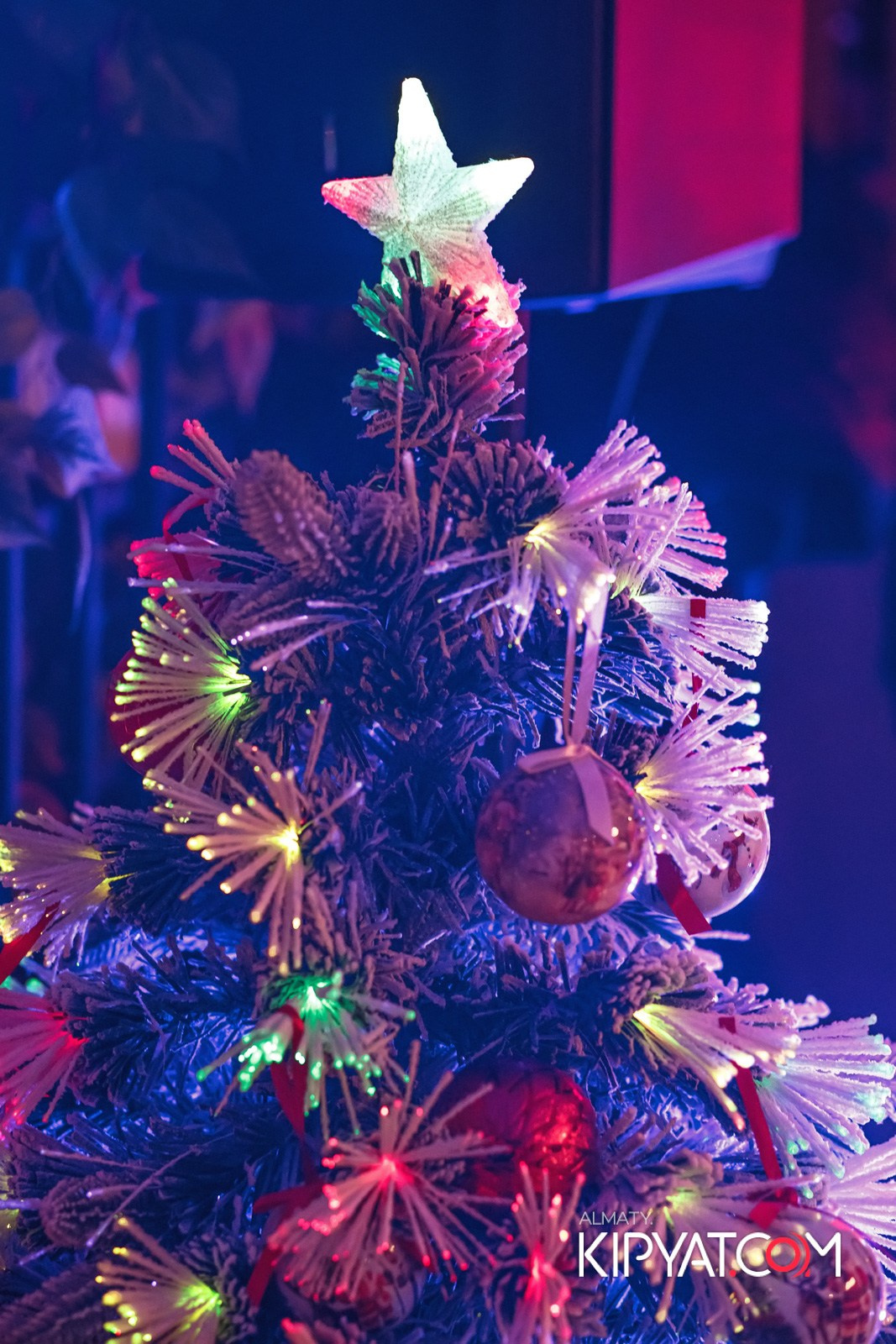 MODI RESTORANCHIK. КИПЯТКОМ АЛМАТЫ!