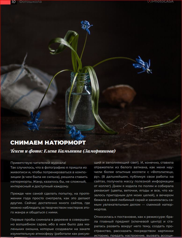 Публикация в Журнале PhotoCASA. Фотограф Елена Камынина