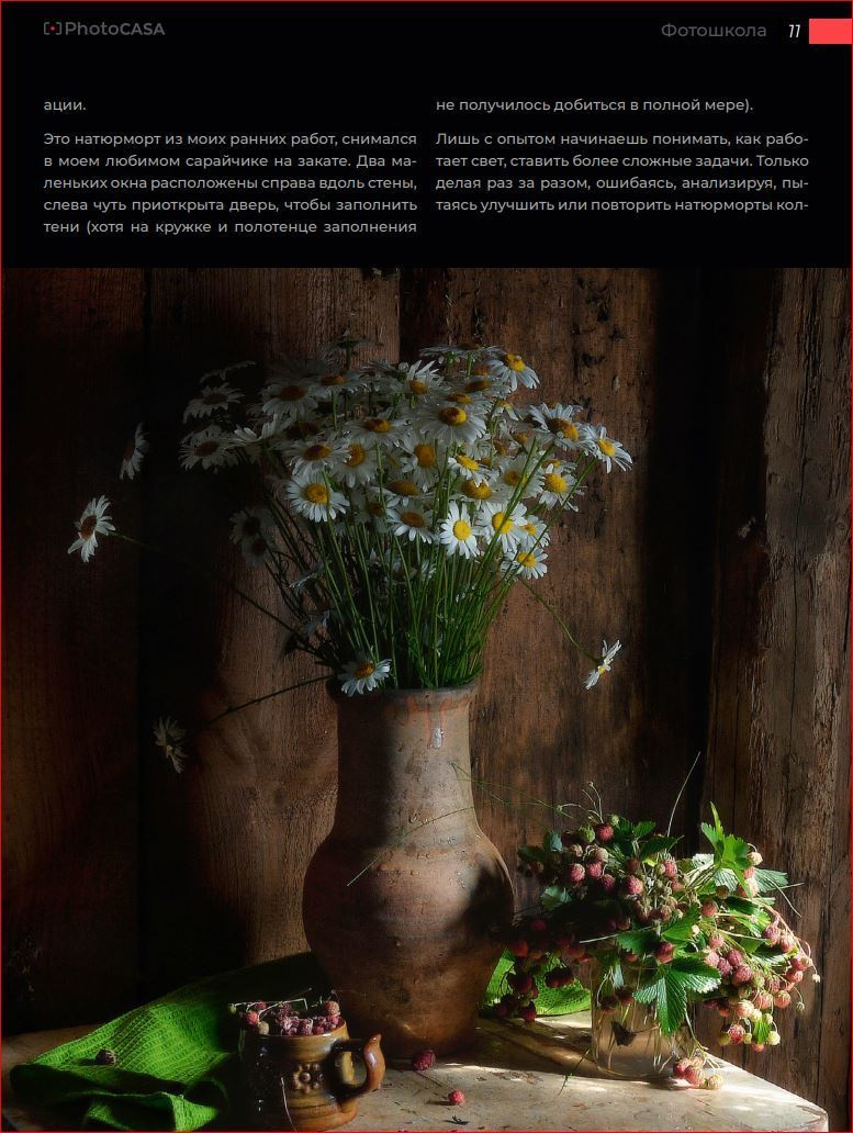 Публикация в Журнале PhotoCASA. Фотограф Елена Камынина