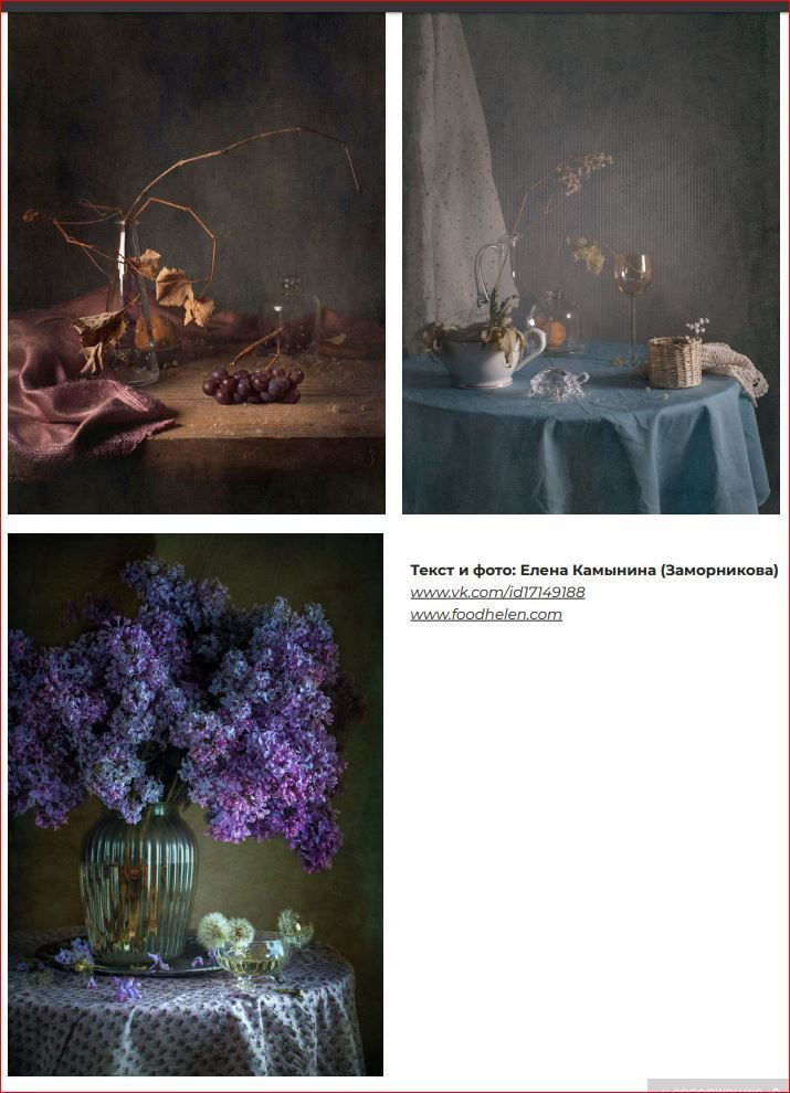 Публикация в Журнале PhotoCASA. Фотограф Елена Камынина