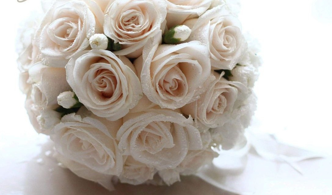 Мария Шакти