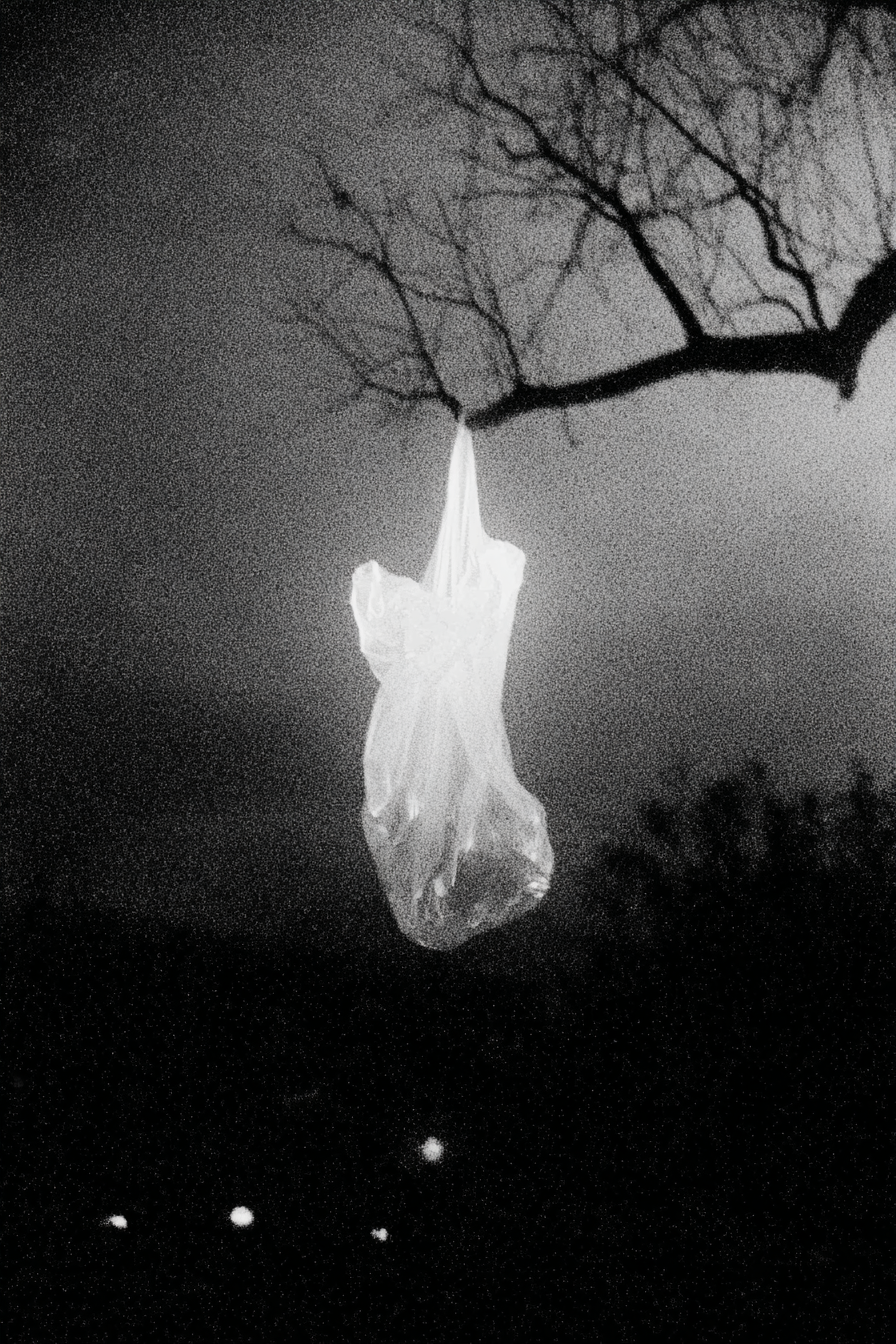 Творческие проекты. Arina_li_ai