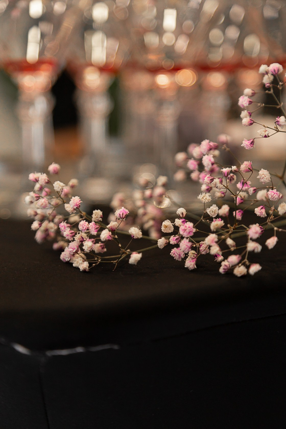 Юбилей Светланы. Фотограф в Самаре / Олеся Широнина