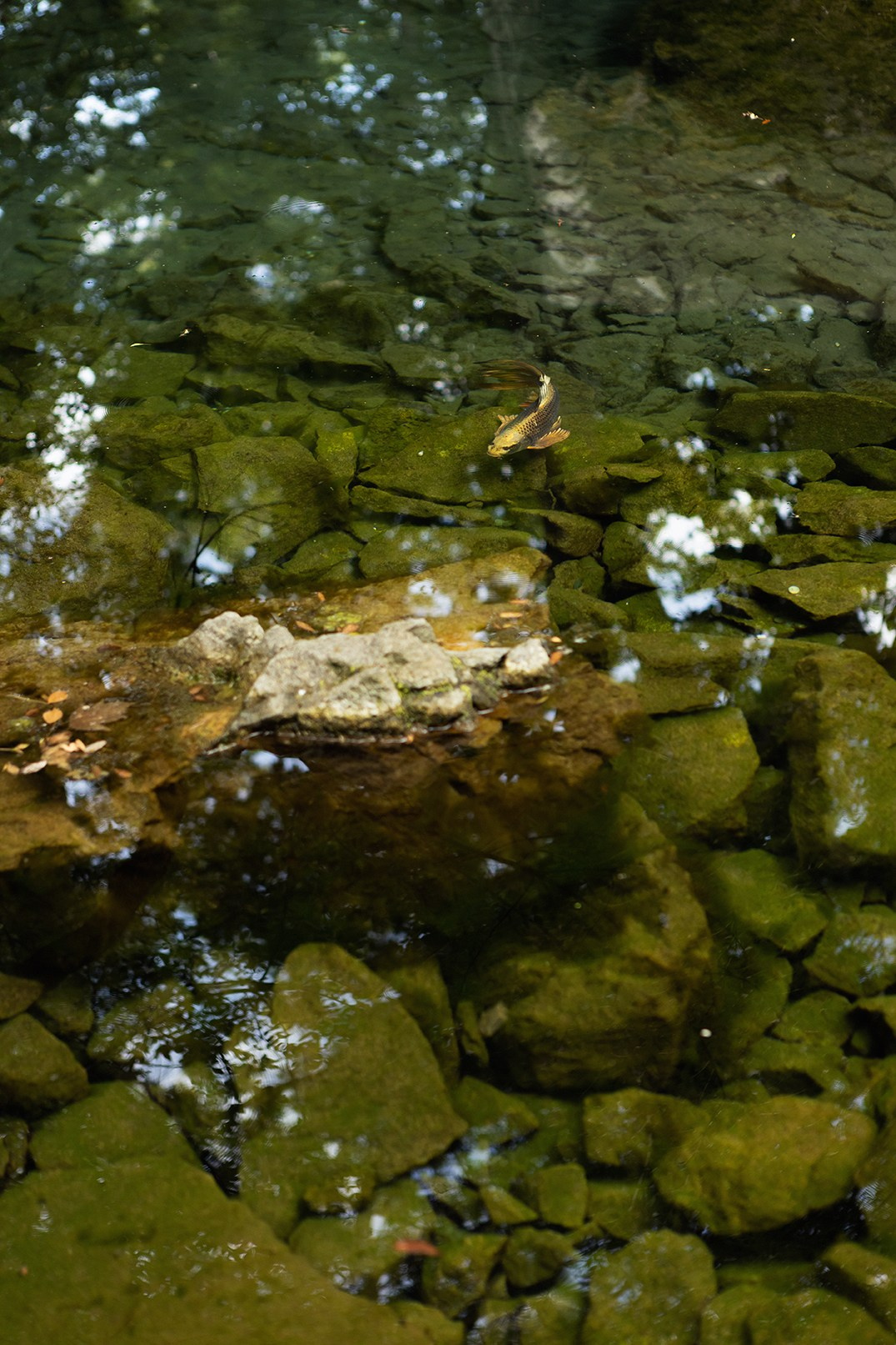 Прогулка на авто по ЮБК. Семен Соколов