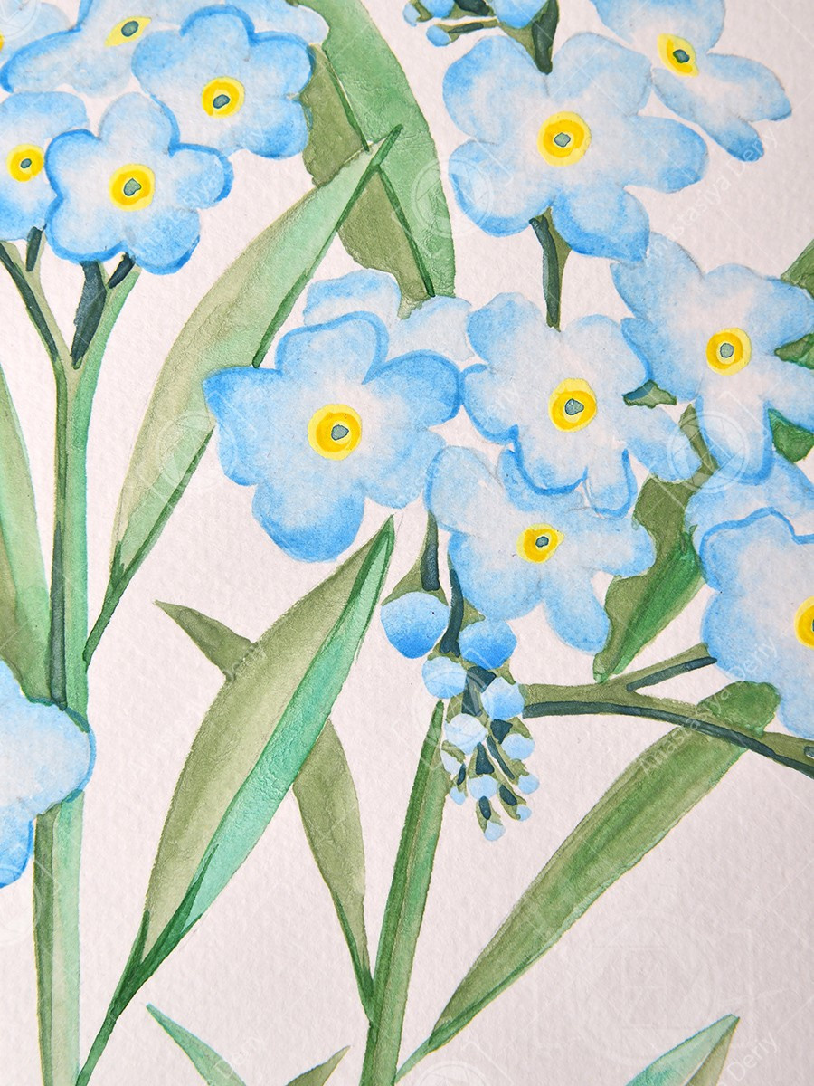 Незабудки. ФотоКисточка. Акварель. Арт-галерея картин Анастасии Дерий
