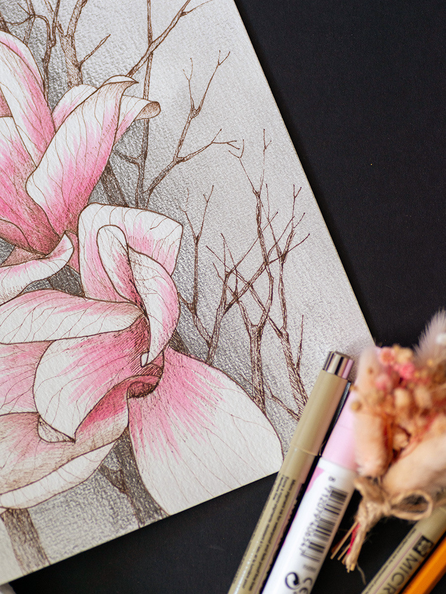 Розовая магнолия. ФотоКисточка. Акварель. Арт-галерея картин Анастасии Дерий