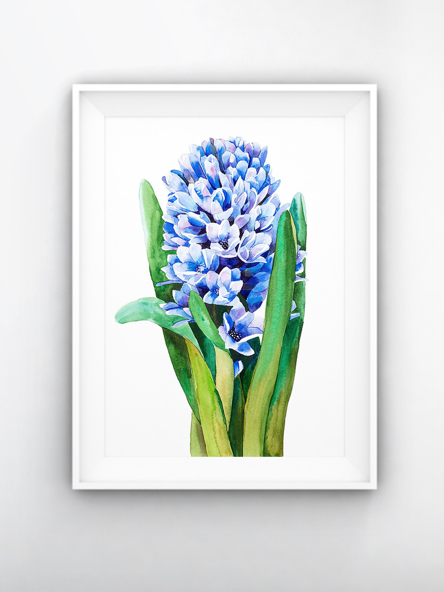Синий гиацинт. ФотоКисточка. Акварель. Арт-галерея картин Анастасии Дерий