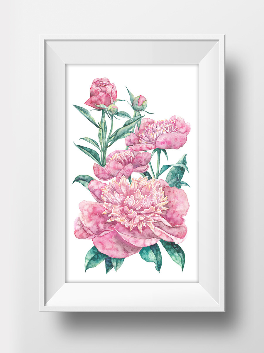 Розовые пионы. ФотоКисточка. Акварель. Арт-галерея картин Анастасии Дерий