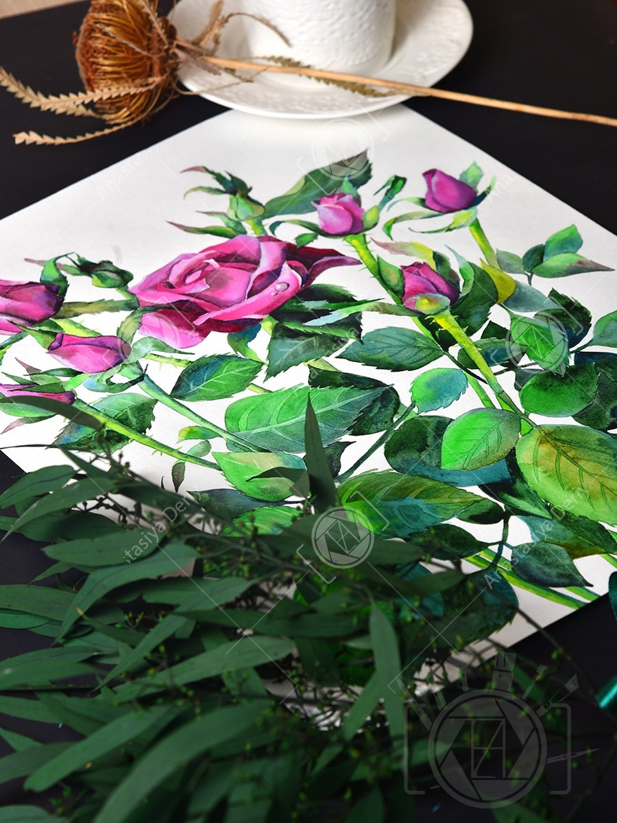 Малиновые розы. ФотоКисточка. Акварель. Арт-галерея картин Анастасии Дерий