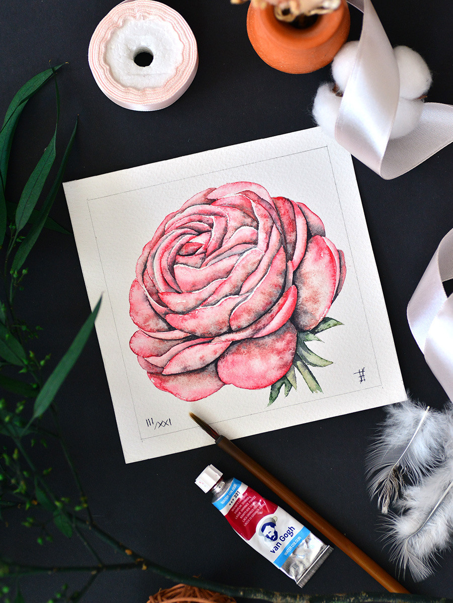 Чайная роза. ФотоКисточка. Акварель. Арт-галерея картин Анастасии Дерий