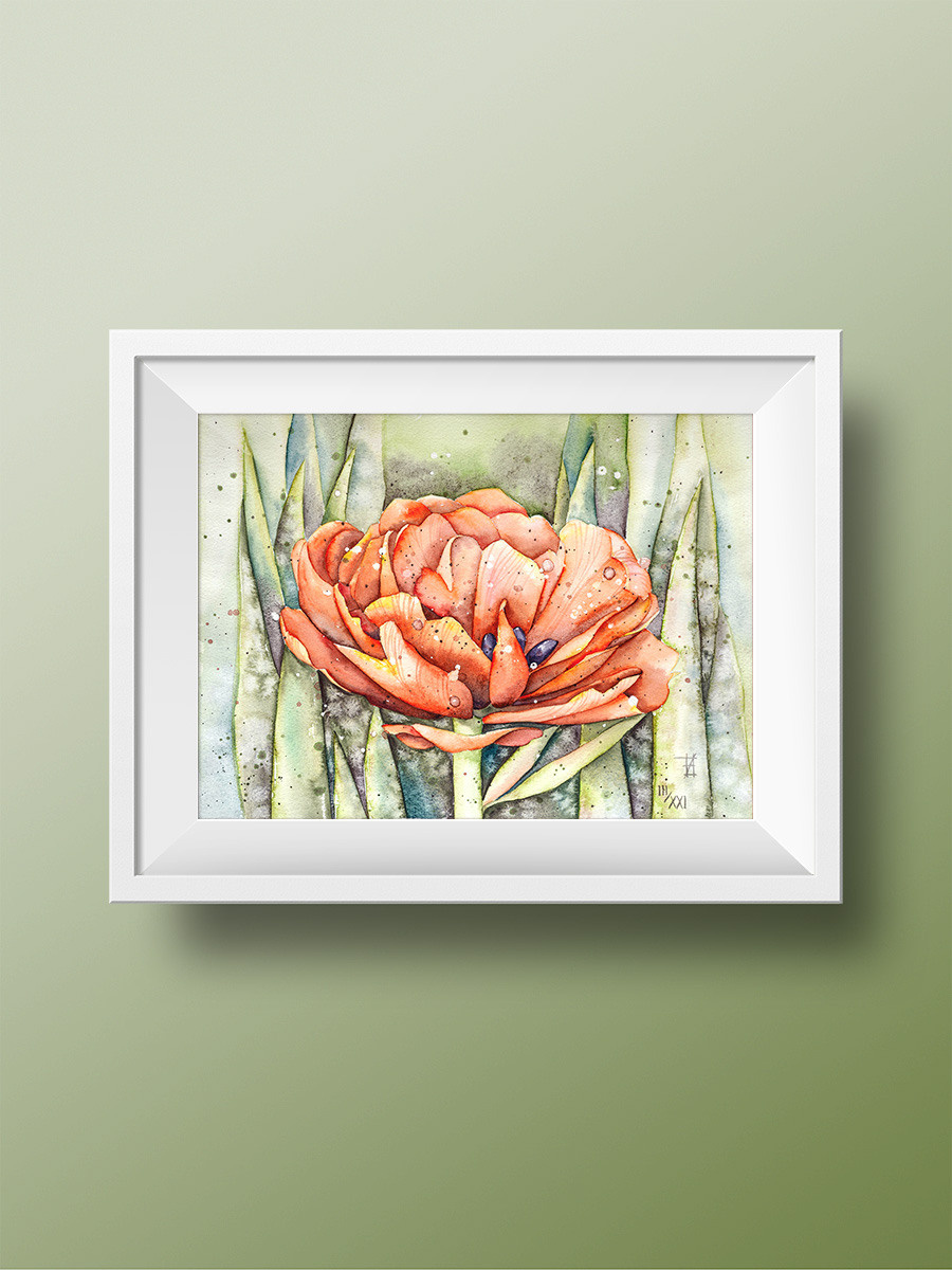 Махровый тюльпан. ФотоКисточка. Акварель. Арт-галерея картин Анастасии Дерий