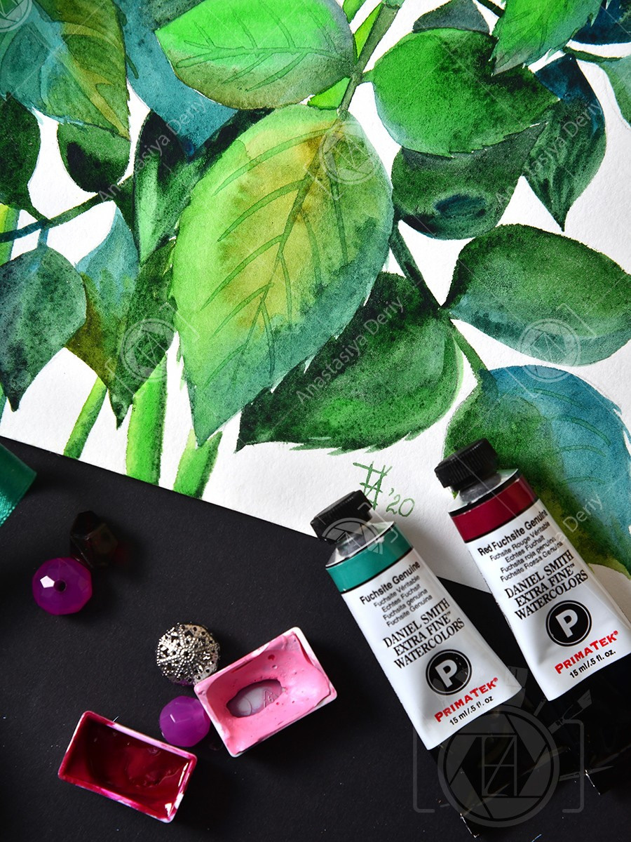 Малиновые розы. ФотоКисточка. Акварель. Арт-галерея картин Анастасии Дерий