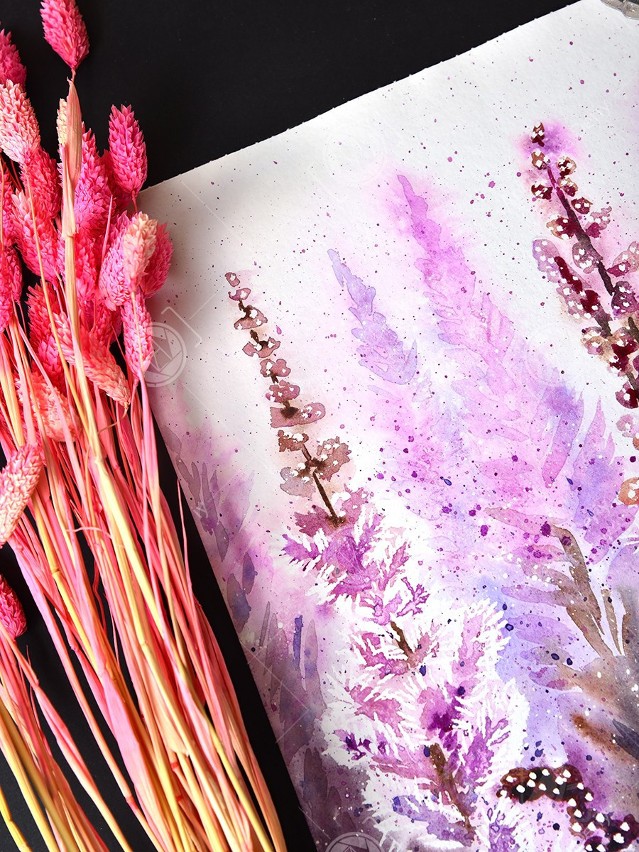 Астильба сиреневая. ФотоКисточка. Акварель. Арт-галерея картин Анастасии Дерий