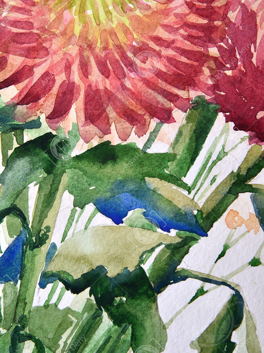 Букет розовых хризантем. ФотоКисточка. Акварель. Арт-галерея картин Анастасии Дерий