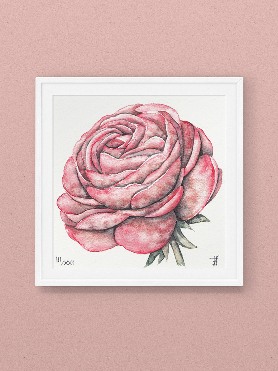 Чайная роза. ФотоКисточка. Акварель. Арт-галерея картин Анастасии Дерий