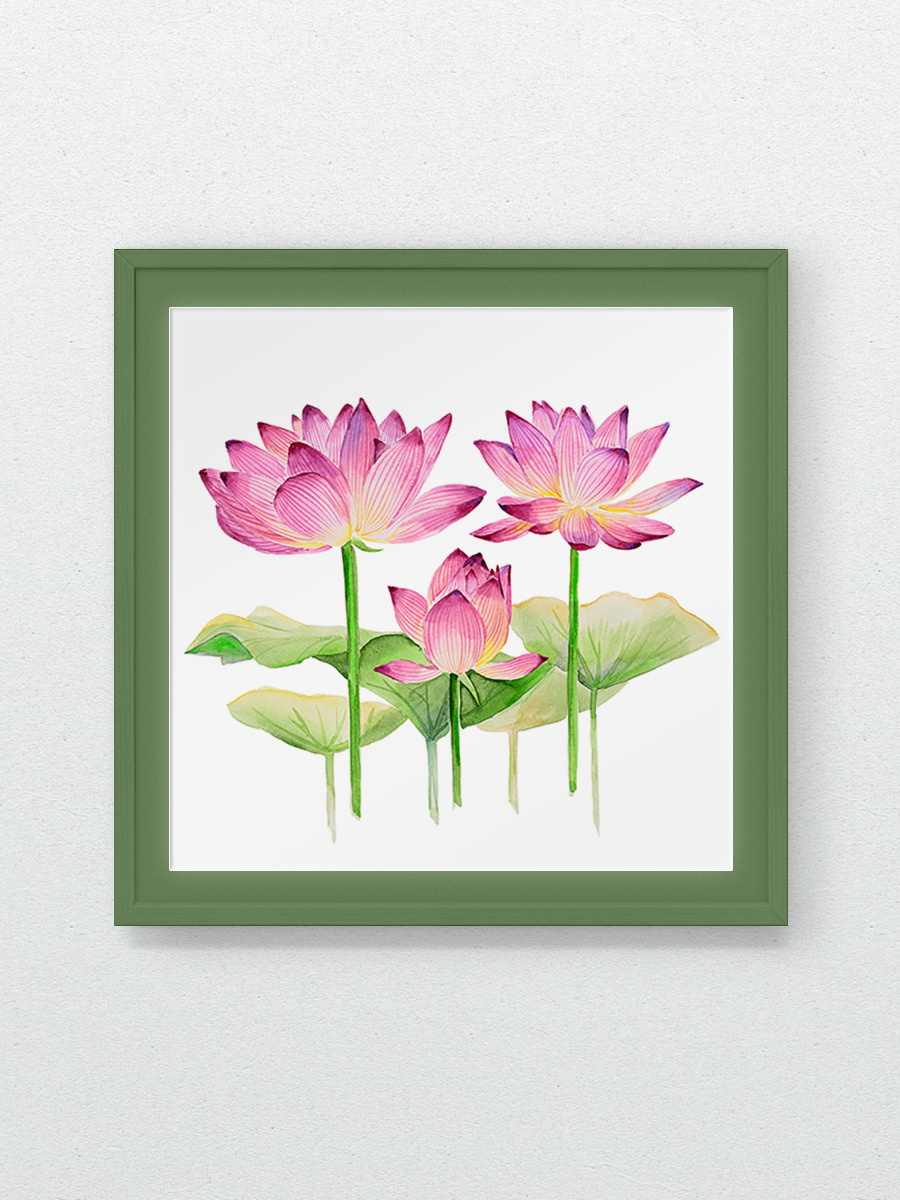 Розовые лотосы. ФотоКисточка. Акварель. Арт-галерея картин Анастасии Дерий