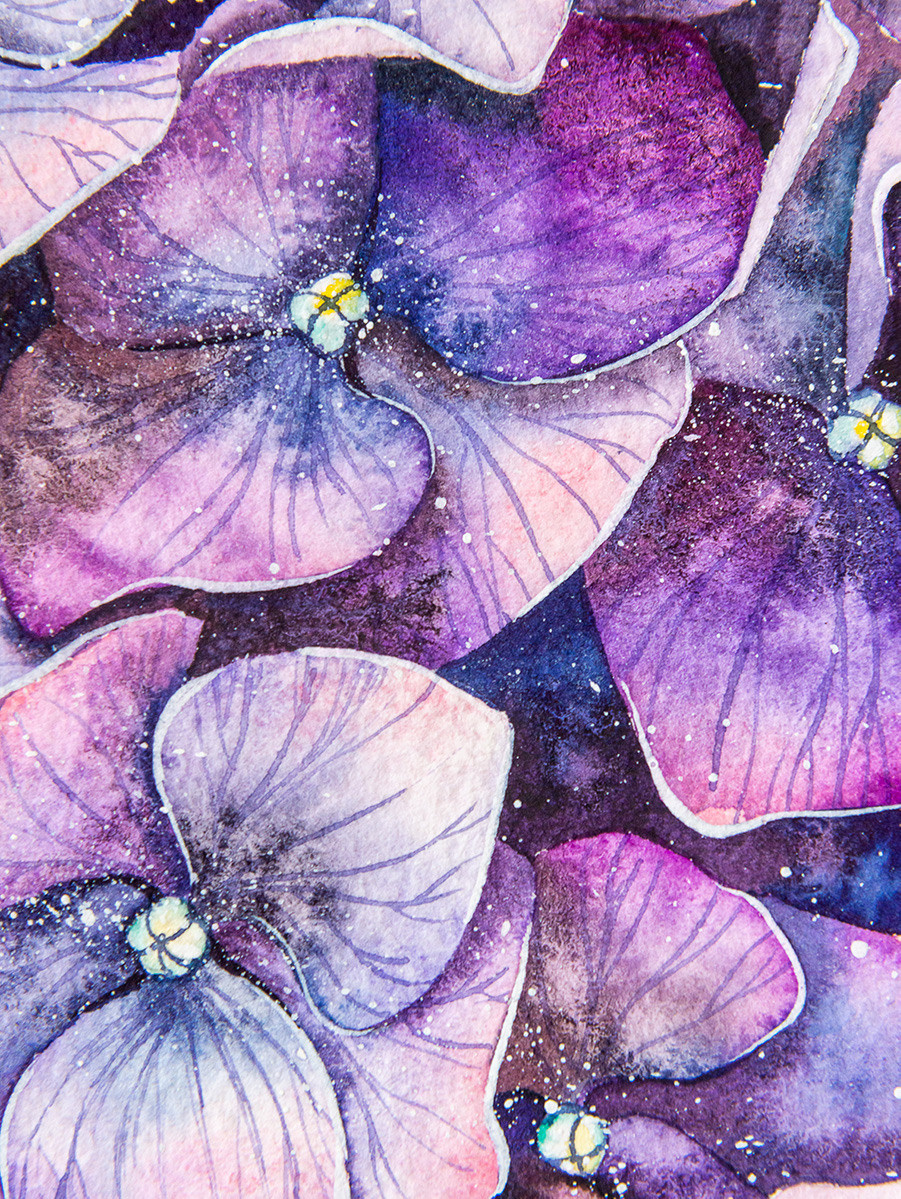 Сиреневая гортензия. ФотоКисточка. Акварель. Арт-галерея картин Анастасии Дерий