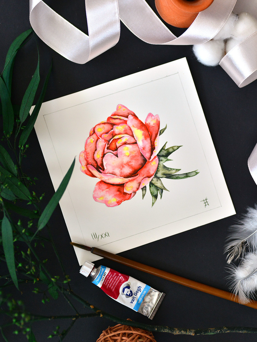 Алая роза. ФотоКисточка. Акварель. Арт-галерея картин Анастасии Дерий