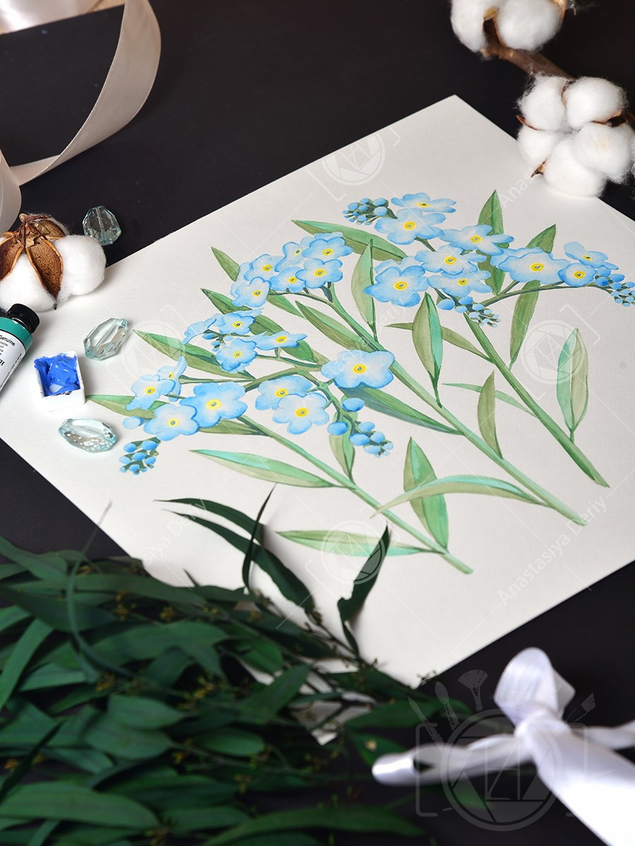 Незабудки. ФотоКисточка. Акварель. Арт-галерея картин Анастасии Дерий
