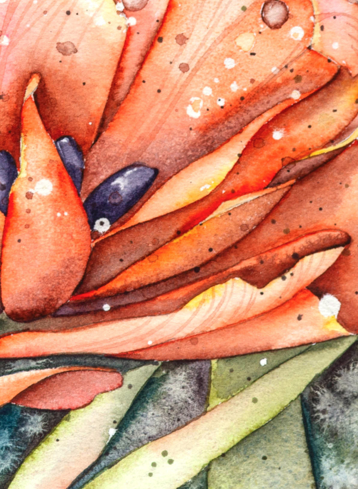 Махровый тюльпан. ФотоКисточка. Акварель. Арт-галерея картин Анастасии Дерий